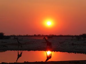 Just another average African sunset