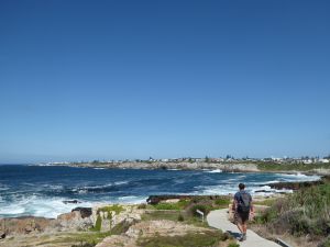 Hermanus cliff walk