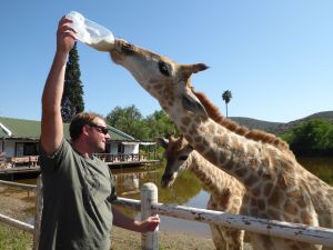 Just helping this little guy out